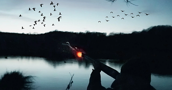 The Flight Pond - Duck Shooting
