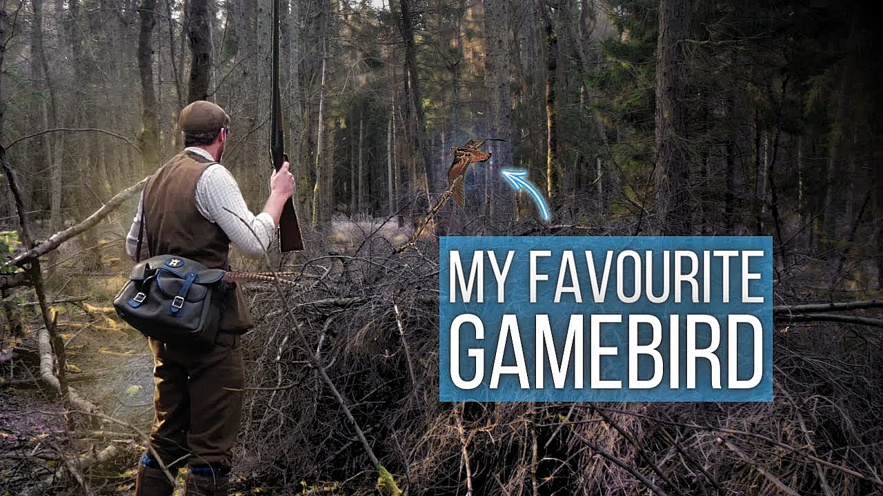 Woodcock Hunting With A 410!