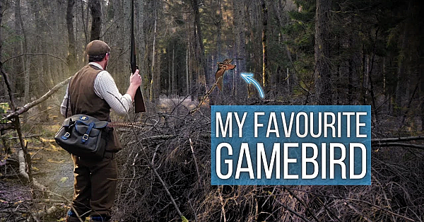 Woodcock Hunting With A 410!