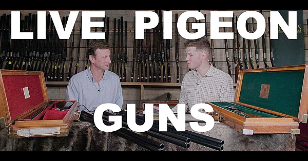 What Is A Live Pigeon Gun?