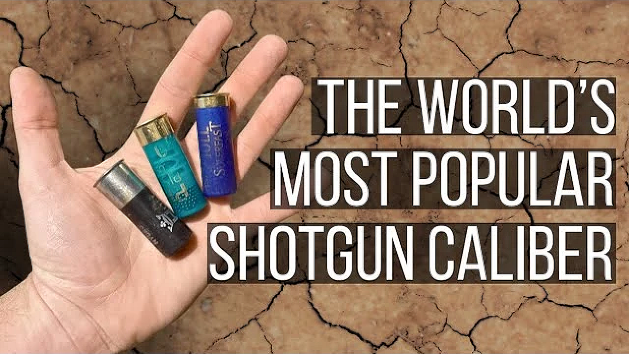 Everything You Need To Know About 12 Gauge?!