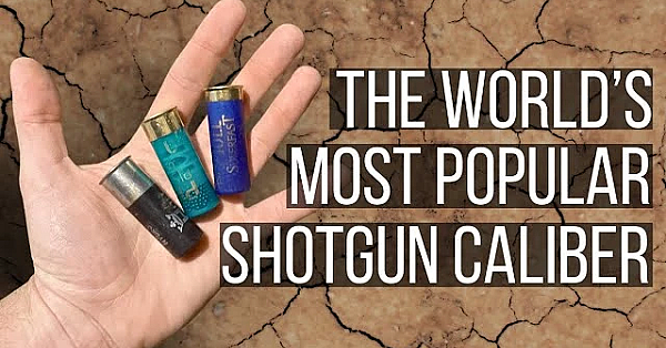 Everything You Need To Know About 12 Gauge?!