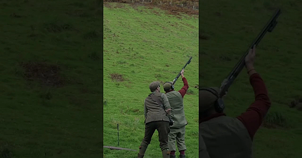 Big Swing On A Driven Partridge