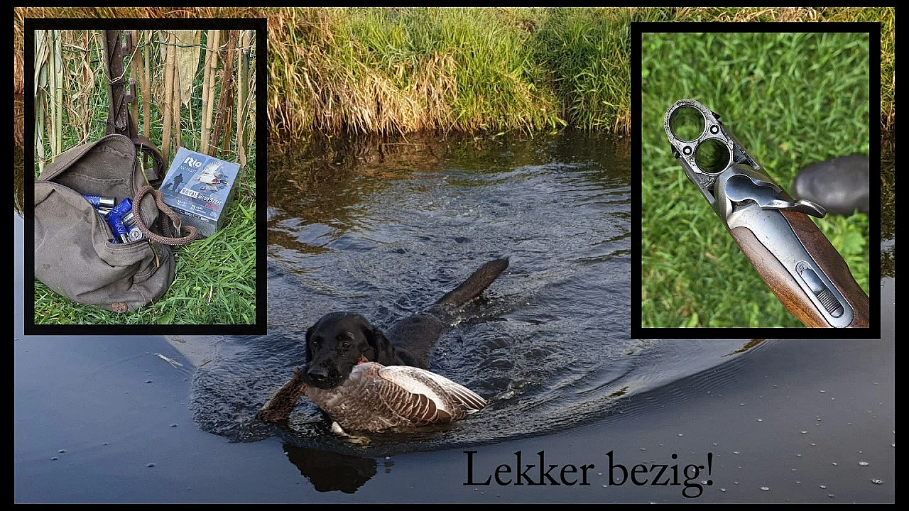 Jagen - Lekker bezig, Poortvliet!