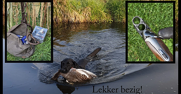 Jagen - Lekker bezig, Poortvliet!