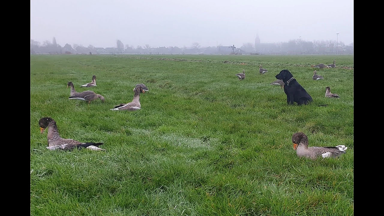 Jacht - Gelukkig Nieuwjaar!