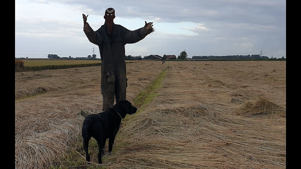 Jagen - Bij Het Graszaad.