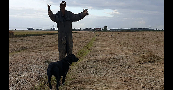 Jagen - Bij Het Graszaad.