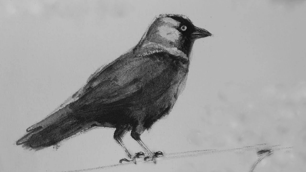 Jagen - Alle Kansen Benut!