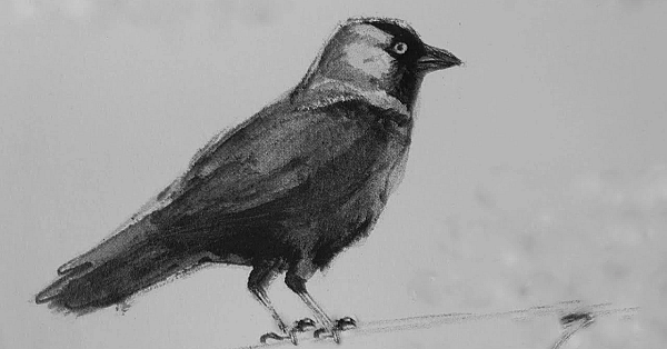 Jagen - Alle Kansen Benut!