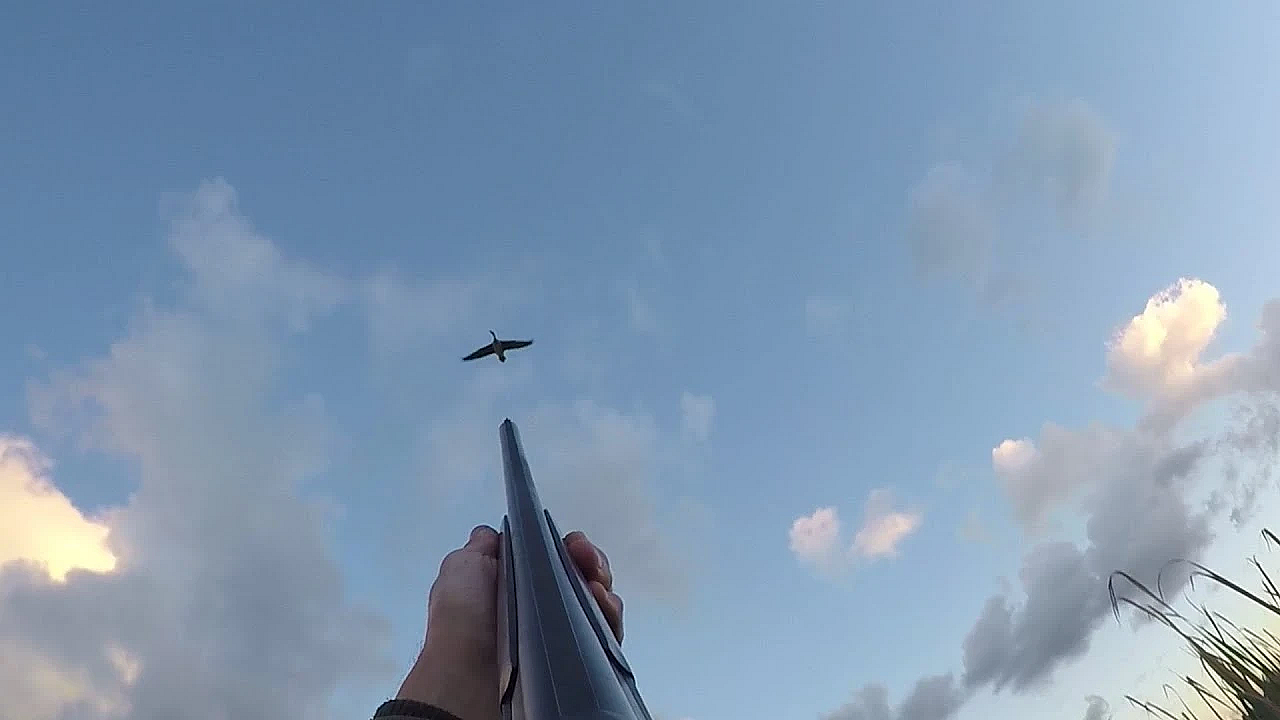 Jagen - Pluk De Dag!