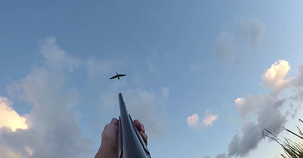 Jagen - Pluk De Dag!