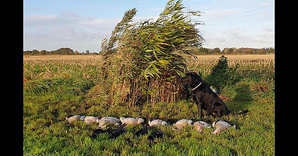 Jacht - Zoek De 10 Verschillen