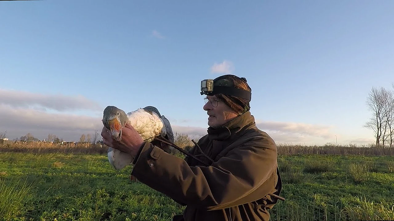 The New Adventures Of A Pop-up Shooting Hide  (jagen - 2 In 1).