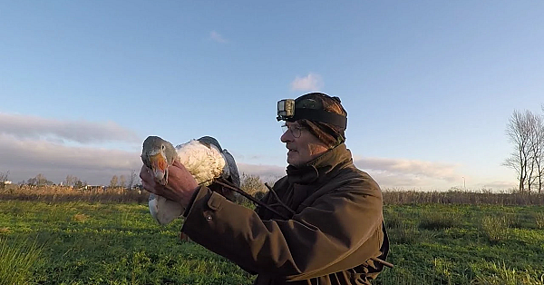 The New Adventures Of A Pop-up Shooting Hide  (jagen - 2 In 1).