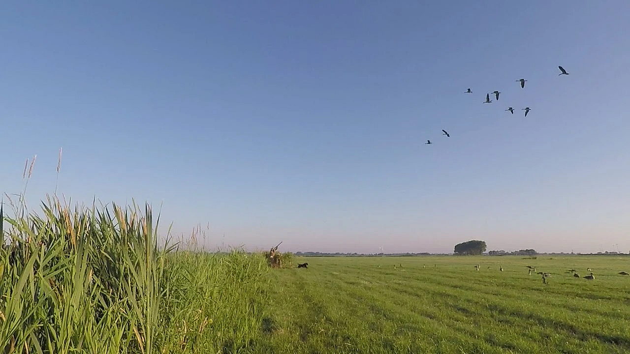 Jagen - All Inclusive