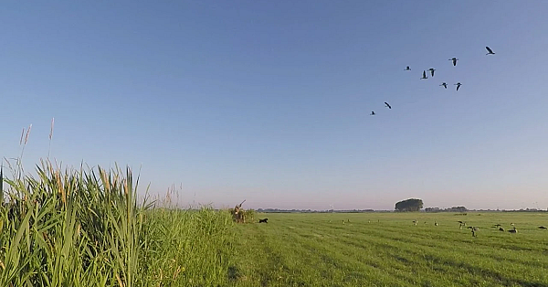 Jagen - All Inclusive