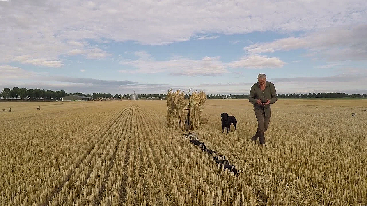 Jagen - Zomer In Zeeland.