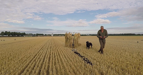 Jagen - Zomer In Zeeland.
