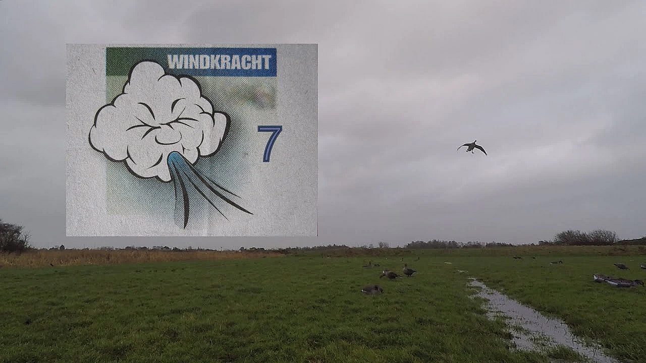 Jagen - Storm! West 7 Met Windstoten.