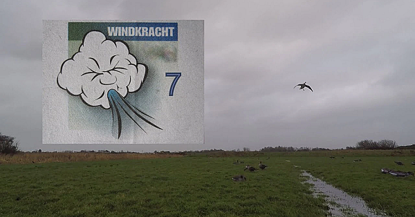 Jagen - Storm! West 7 Met Windstoten.