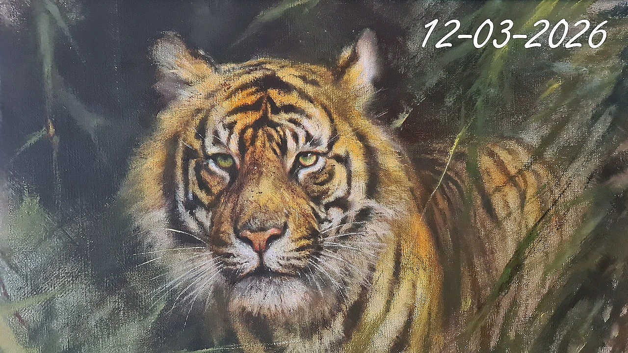 Jagen - Ganzen Jagen Is Een Dagtaak!