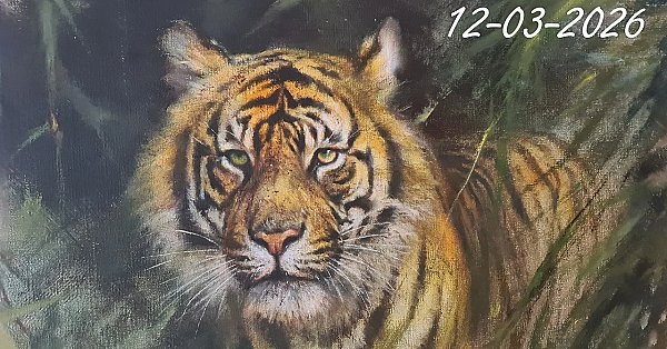 Jagen - Ganzen Jagen Is Een Dagtaak!