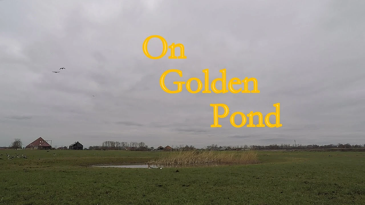Jagen - On Golden Pond.