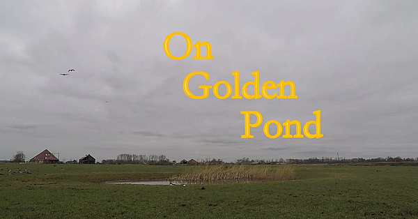 Jagen - On Golden Pond.