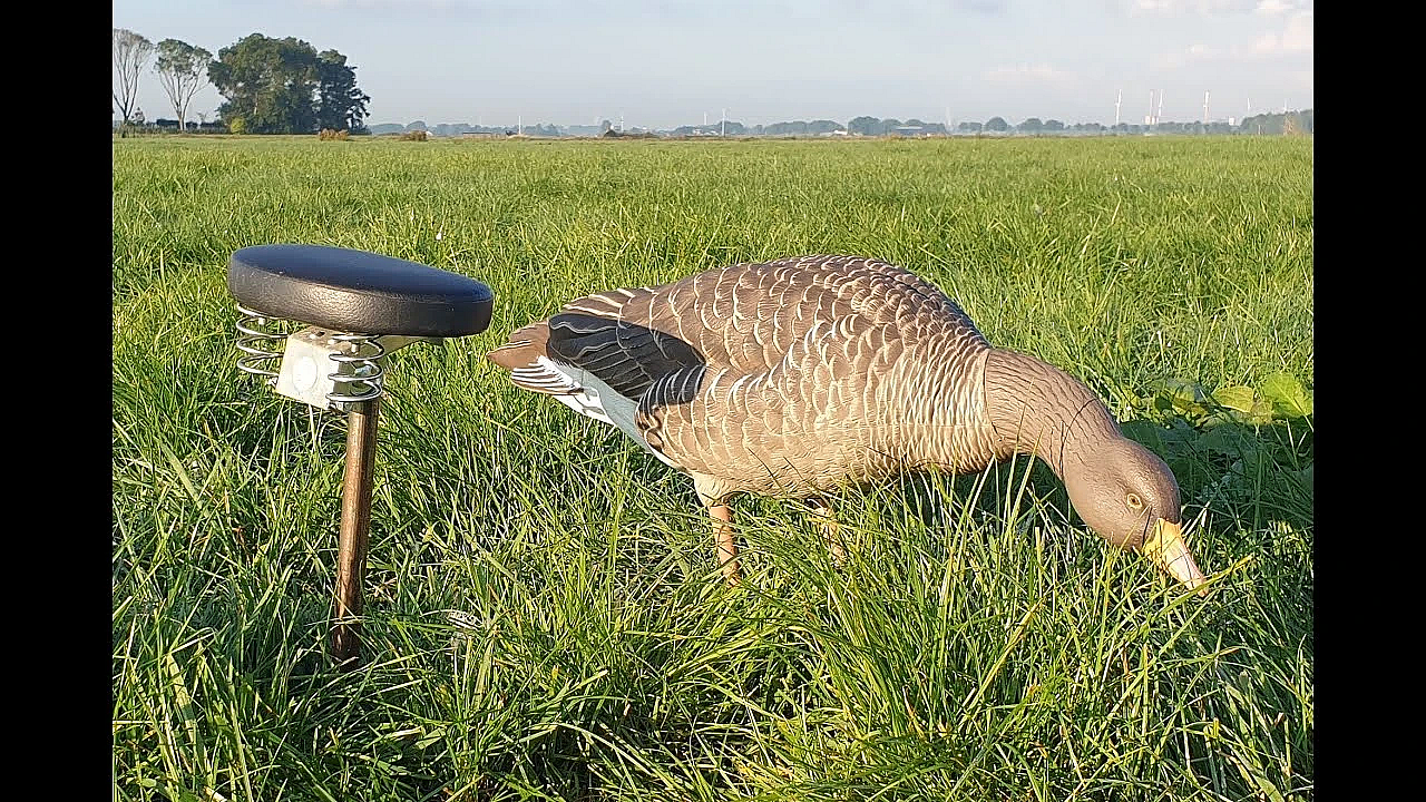 Jagen - Ganzen Bij Gerland