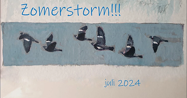 Jagen - Zomerstorm.