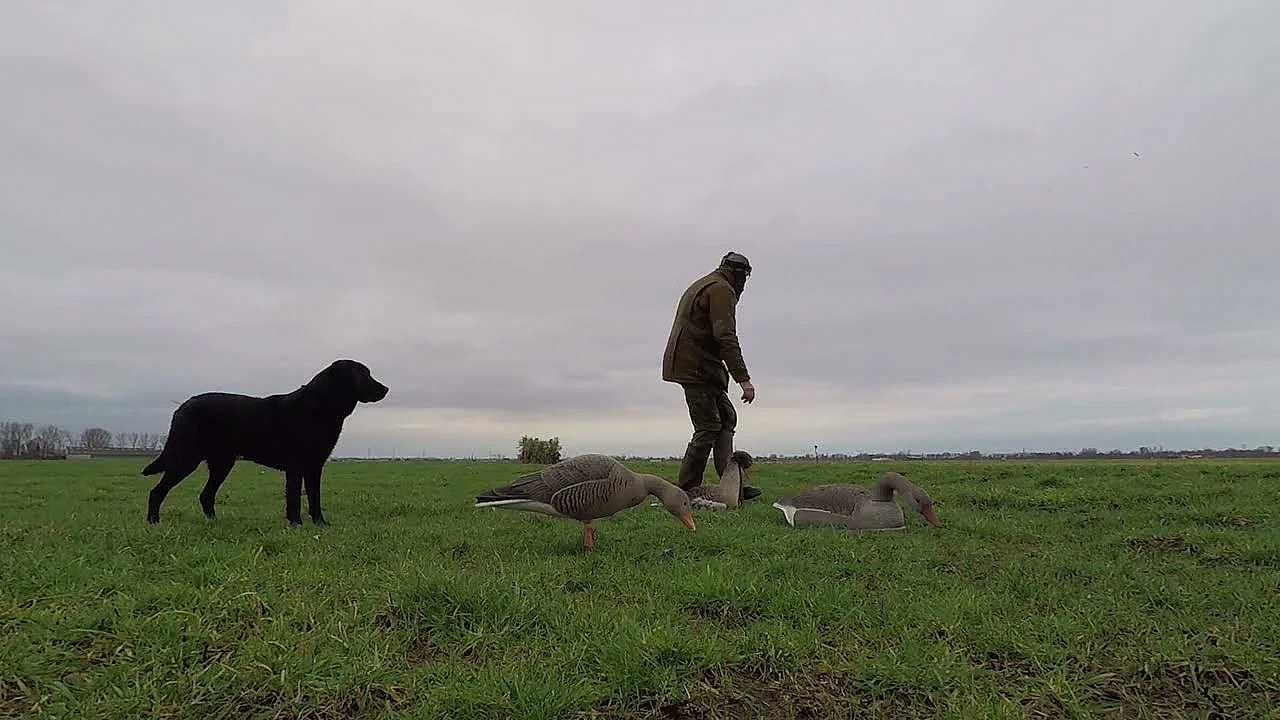 Jagen - Schrikdraad!