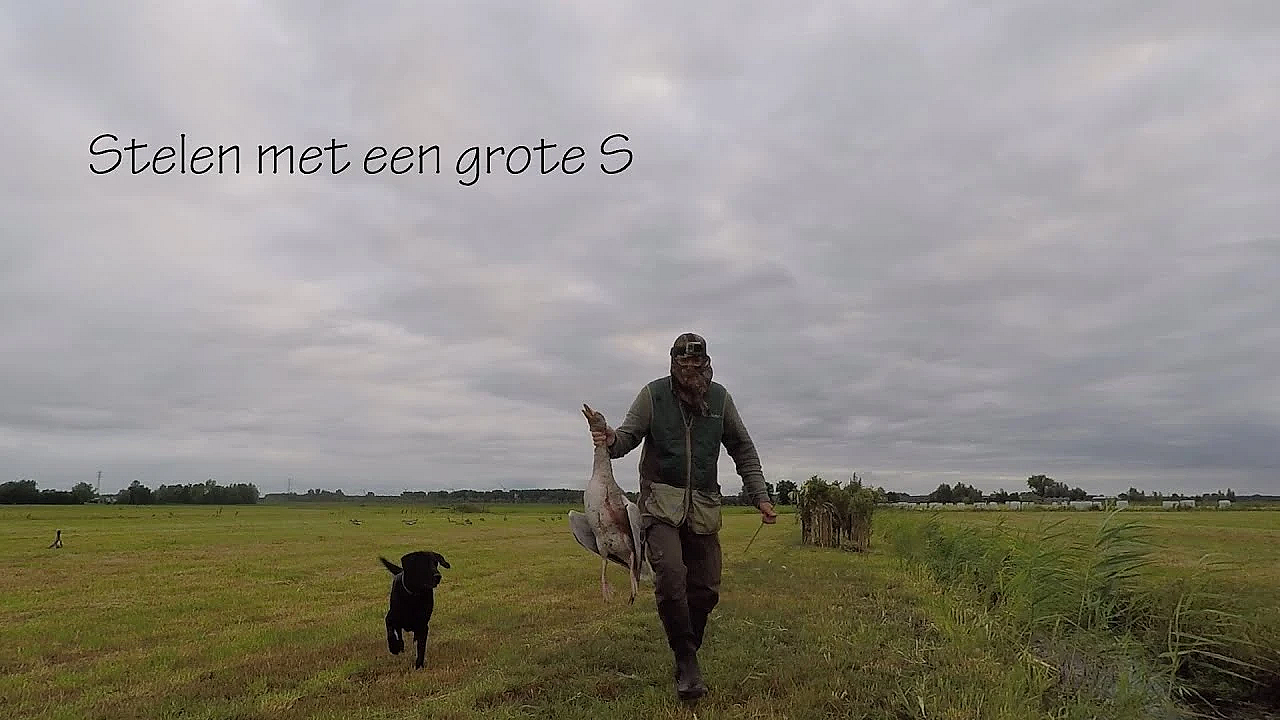 Jagen - Stelen Met Een Grote S.