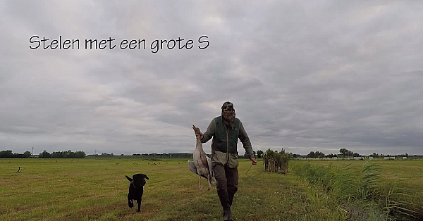 Jagen - Stelen Met Een Grote S.