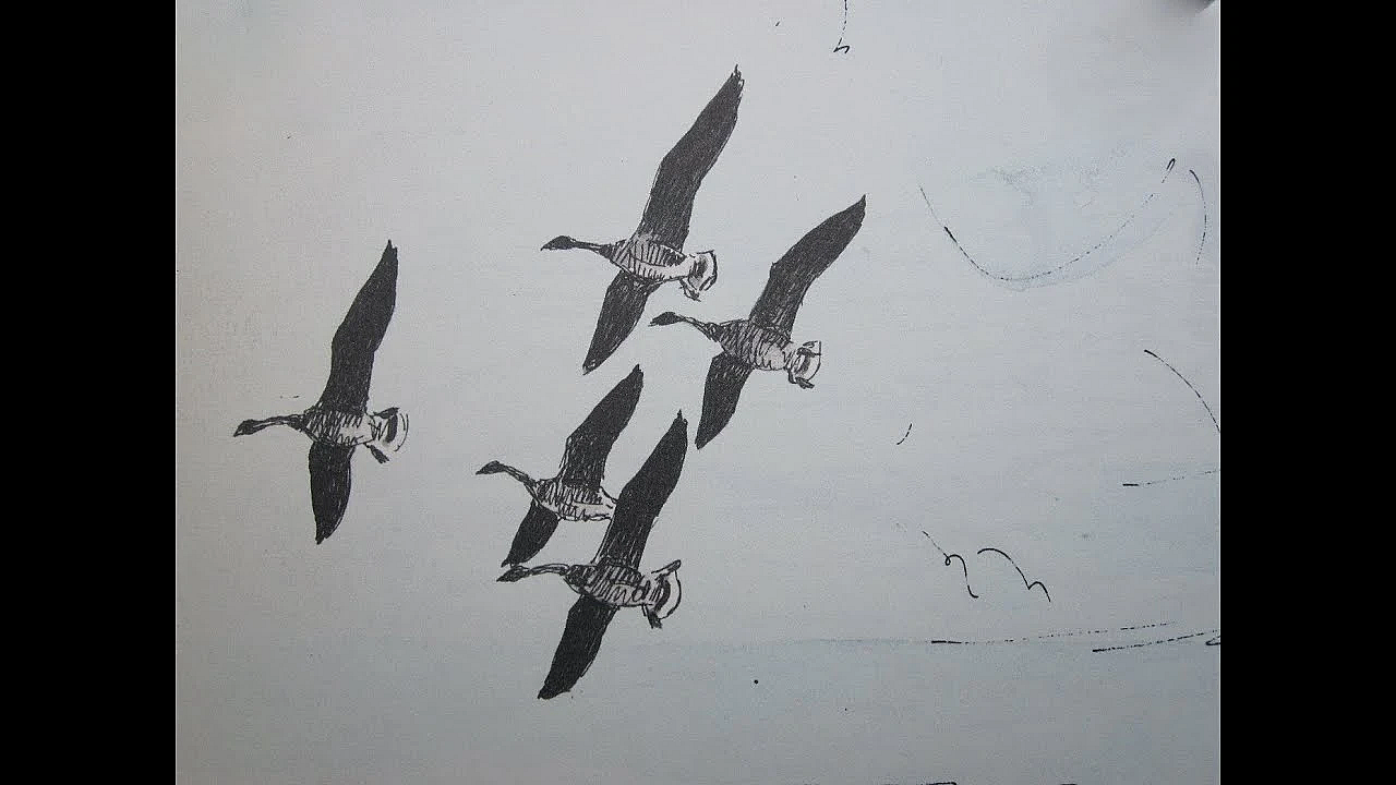 Jagen - Randmeer Ganzenbeheer.