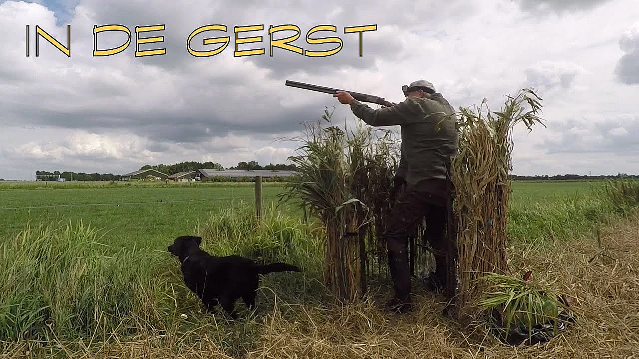 Jacht - In De Gerst!