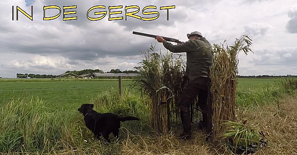 Jacht - In De Gerst!