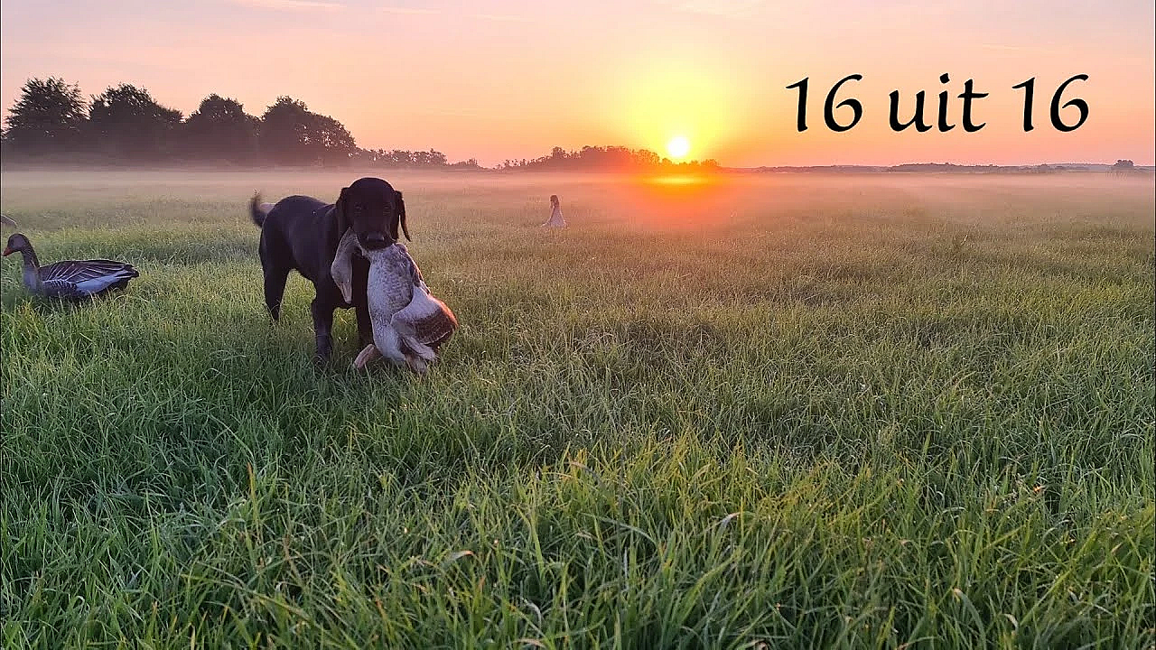 Jagen - 16 Uit 16!