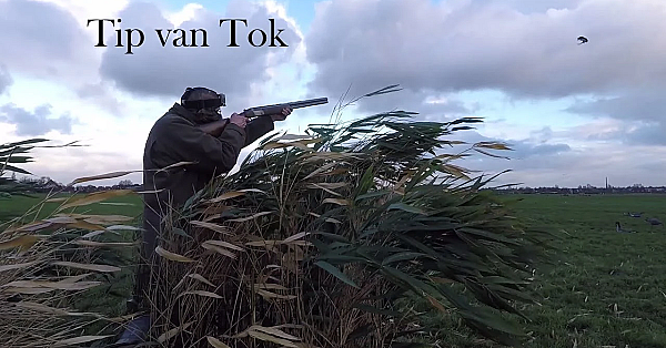 Jagen - Tip Van Tok.
