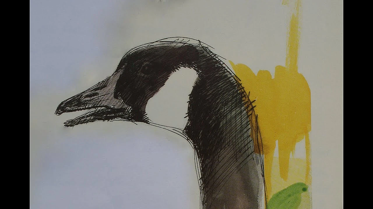 Jacht -  Frs / Rupsje Nooitgenoeg.