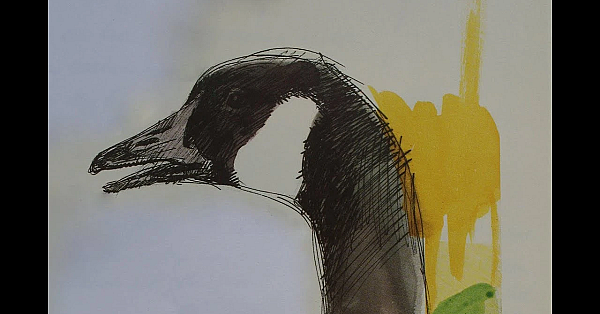 Jacht -  Frs / Rupsje Nooitgenoeg.