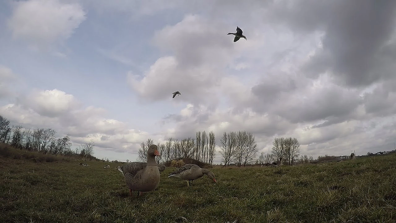Jacht - Dit Is Geen Praatprogramma.