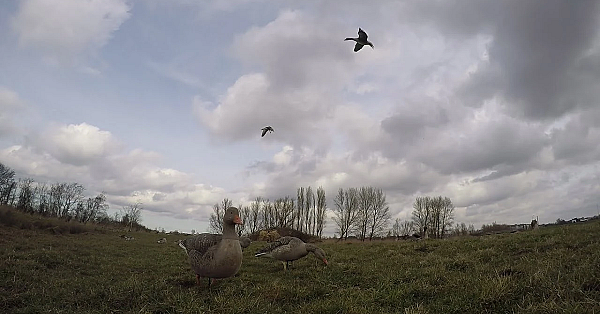 Jacht - Dit Is Geen Praatprogramma.