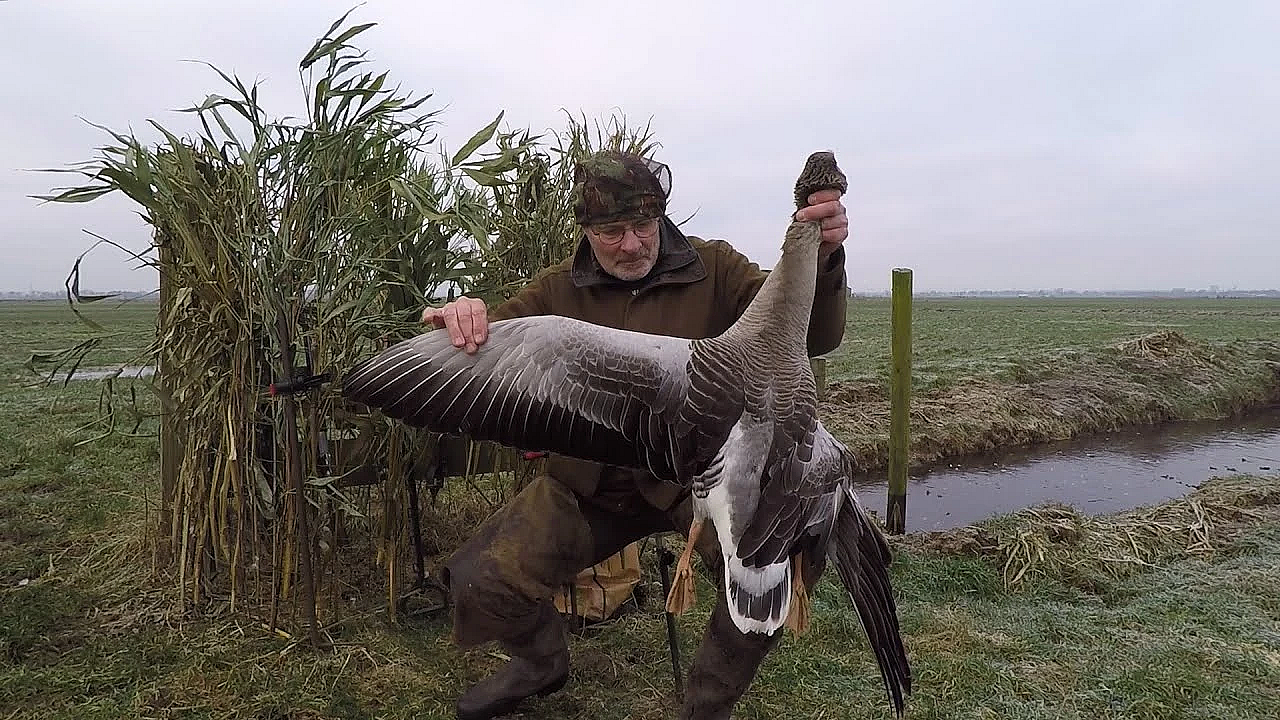 Jagen - Weer In Die Sloot!