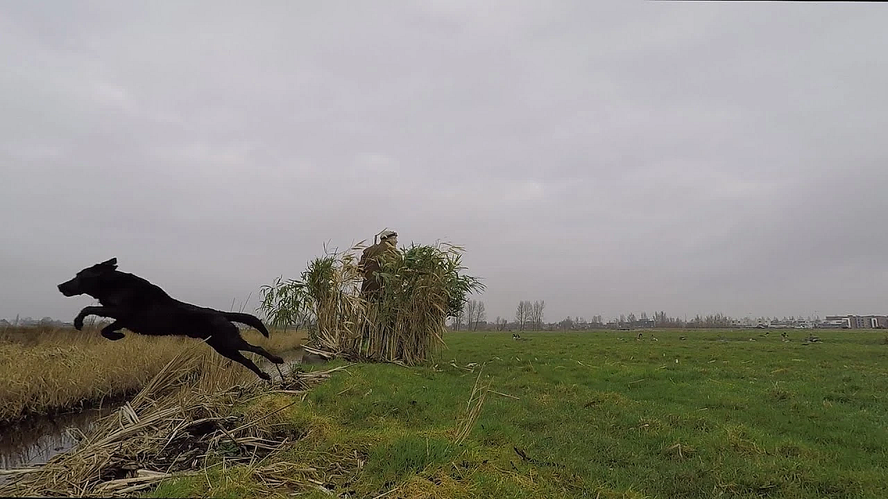 Jagen - Bijna Verzopen!