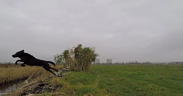 Jagen - Bijna Verzopen!