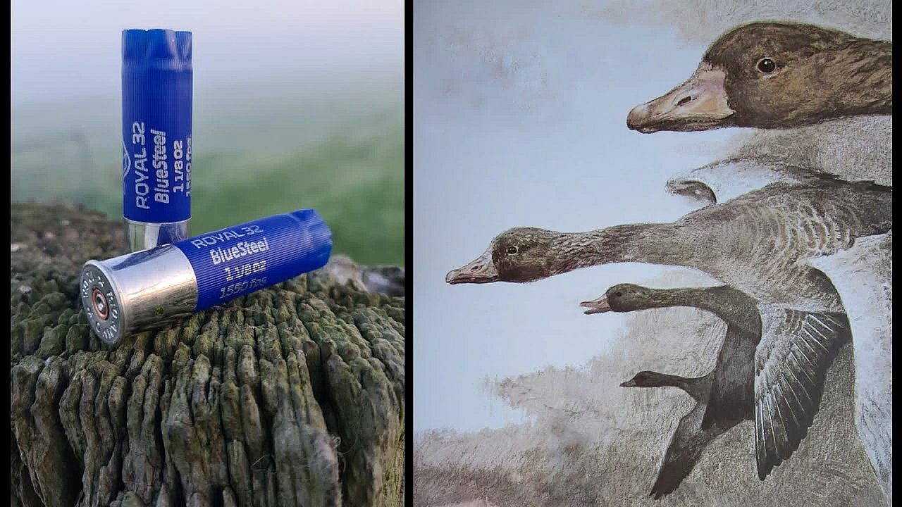 Jagen -1 Februari 2026