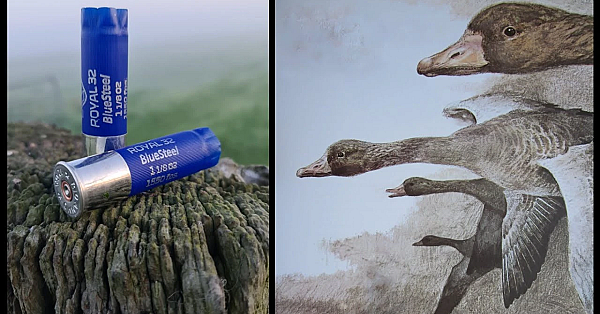 Jagen -1 Februari 2026