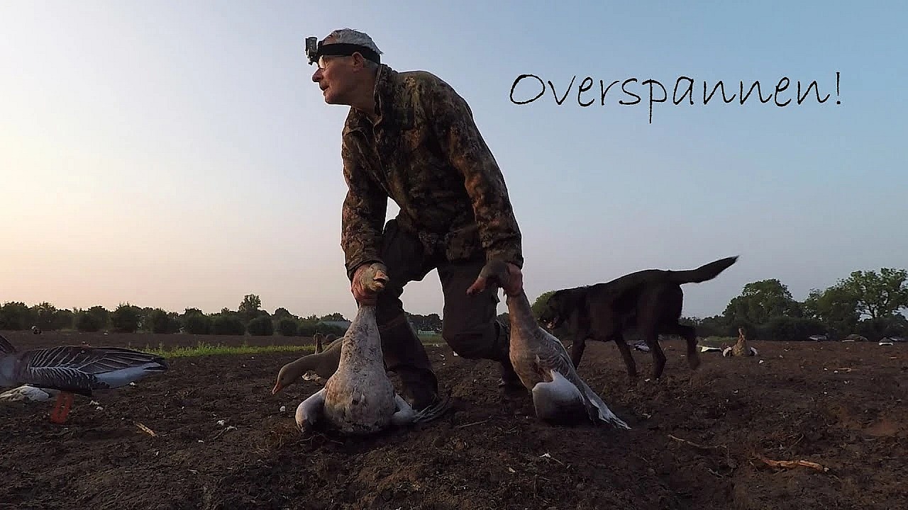 Jagen - Overspannen!