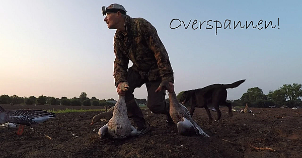 Jagen - Overspannen!